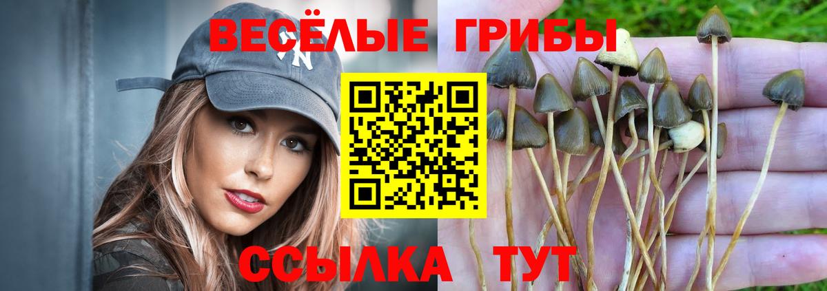 Галлюциногенные грибы Magic Shrooms  Псилоцибиновые грибы MAGIC MUSHROOMS  Вход с VPN  Сибай 